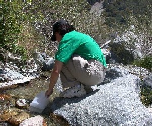 Taking sample from river